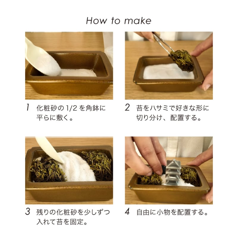 禅庭 zen garden kit 苔栽培キット スナゴケ 枯山水 キット 箱庭