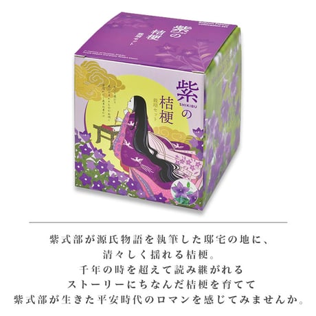 紫式部の桔梗 栽培セット 桔梗 キキョウ 紫 盆栽 栽培 観葉植物 インテリア 平安 大河 紫式部 源氏物語 癒し ヒーリング ガーデニング 991593
