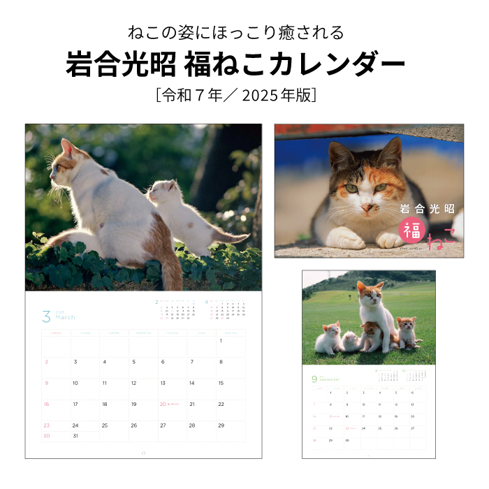 カレンダー 2025年 壁掛け 岩合光昭 福ねこカレンダー | 暦