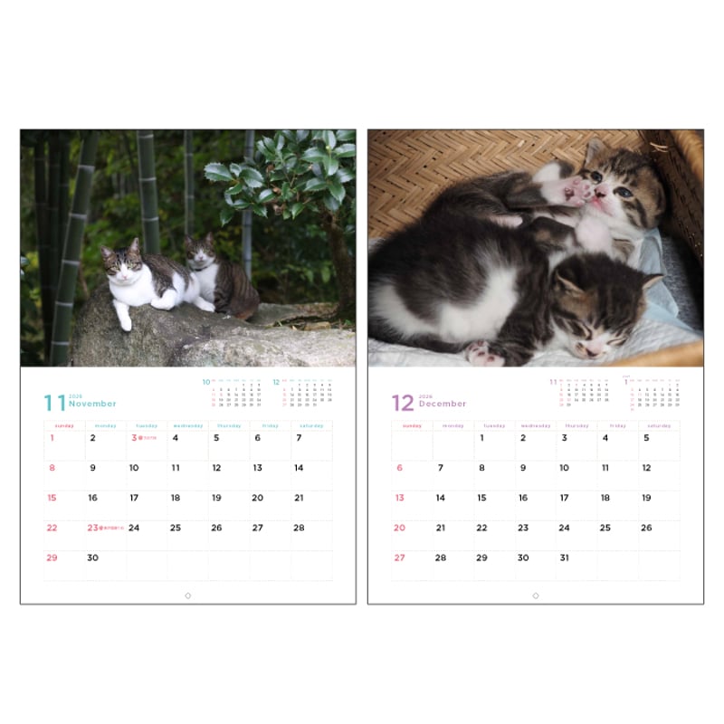 あやさん専用　岩合光昭　季節のねこ　クリアファイルカレンダー あやさん専用 岩合光昭 季節のねこ クリアファイルカレンダー 【公式通販】