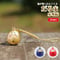 だるま水琴鈴 黄金/紅赤/紺青