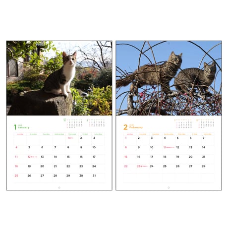 カレンダー  2026年 壁掛け 岩合光昭 福ねこカレンダー　【カレンダー 壁掛け  2026年版 猫 ネコ 動物 写真 岩合光昭 】