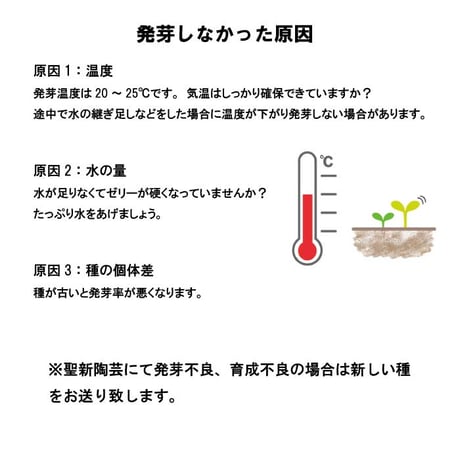 いちご 摘みたてイチゴ 栽培セット かわいい いちご 栽培 ストロベリー 栽培キット 四季なりいちご 食用 観葉植物 インテリア 癒し 994928
