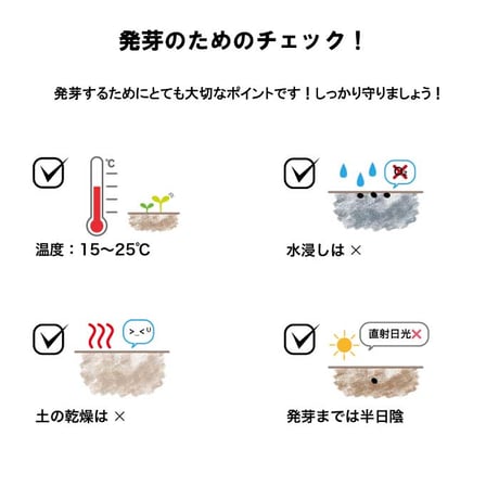 きっとみつかる 四つ葉のクローバー 栽培キット クローバー 栽培セット 開運 盆栽 栽培 観葉植物 鑑賞用植物 簡単 栽培 991598
