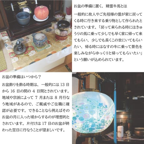 水引精霊牛馬 ホオズキ付 お盆 提灯 法事 弔事 提灯 冠婚葬祭 日本製