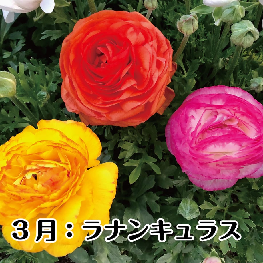 67bfd2461b359a01d90a2b0b