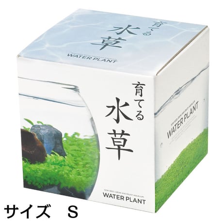 育てる水草 S GD-812 水草 アクアリウム 育てる 栽培キット 簡単 金魚鉢 インテリア 植物 育てる 自由研究 水景 癒し お手軽 趣味 992454