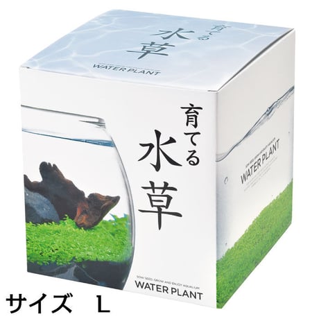 育てる水草 L GD-813 水草 アクアリウム 育てる 栽培キット 簡単 金魚鉢 インテリア 植物 育てる 自由研究 水景 癒し お手軽 趣味 992455