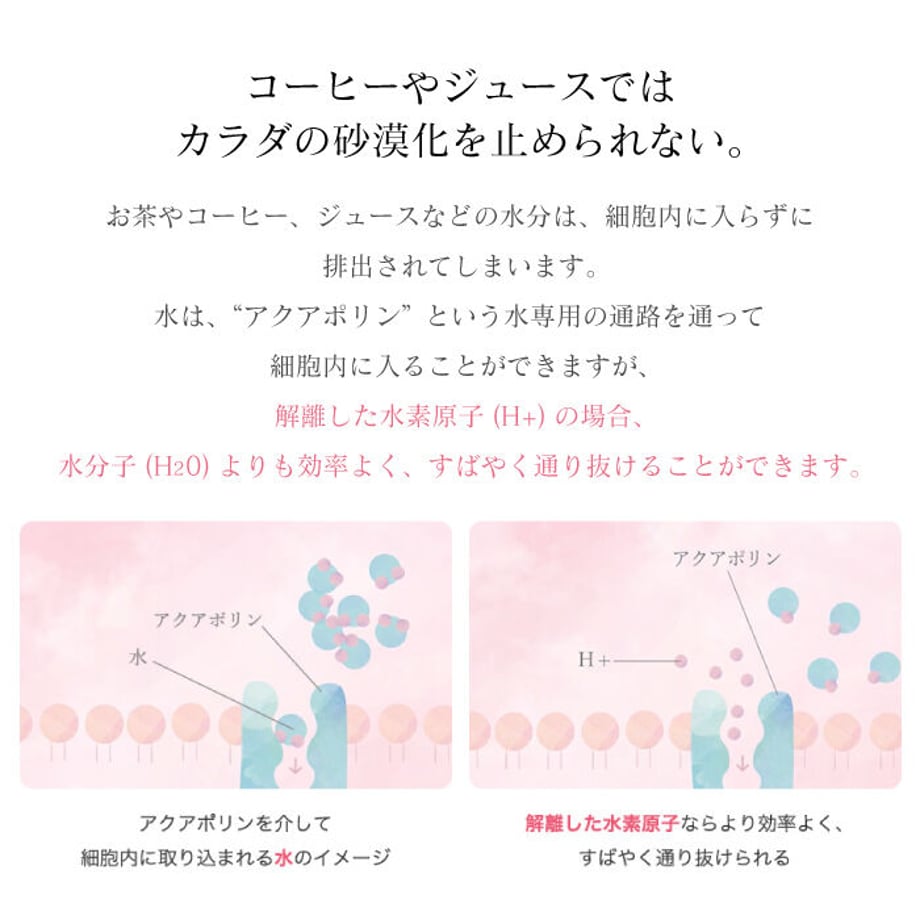 651f9c15e2dc7a002eca334b