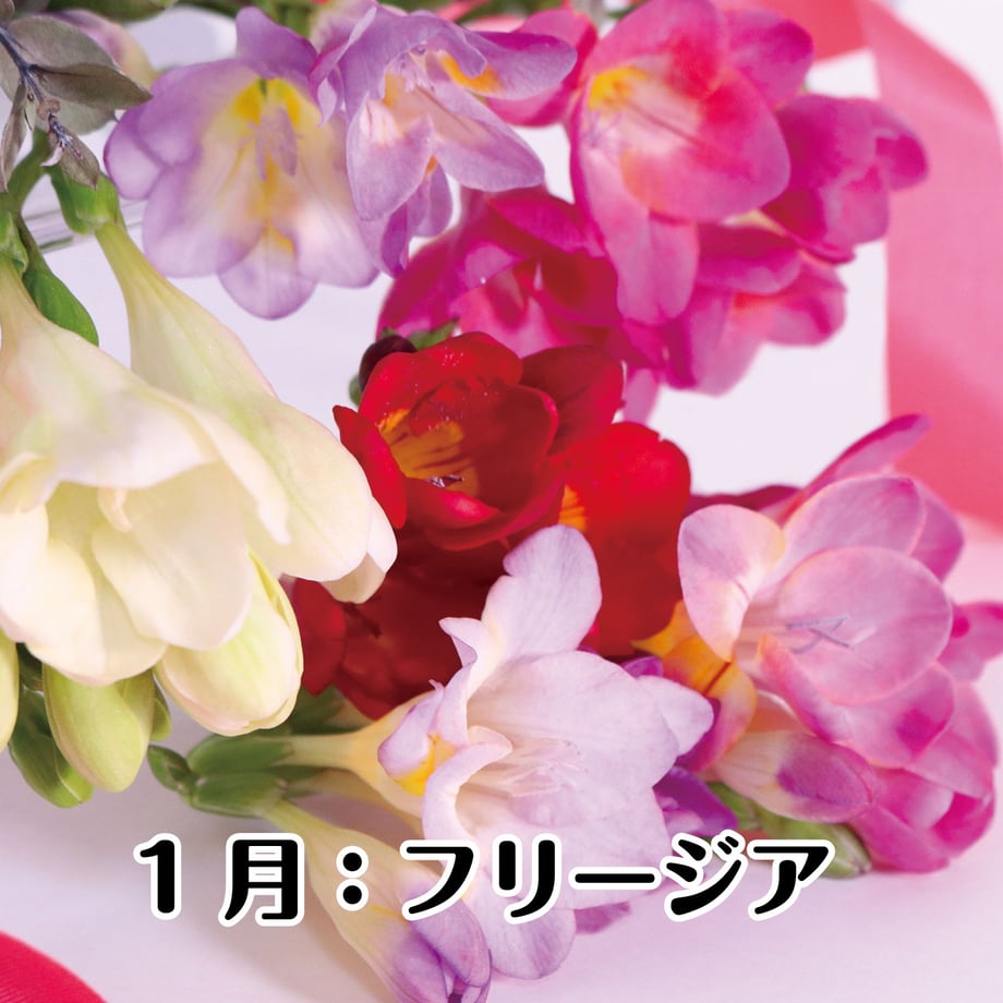 67bfd2461b359a01d90a2b0b
