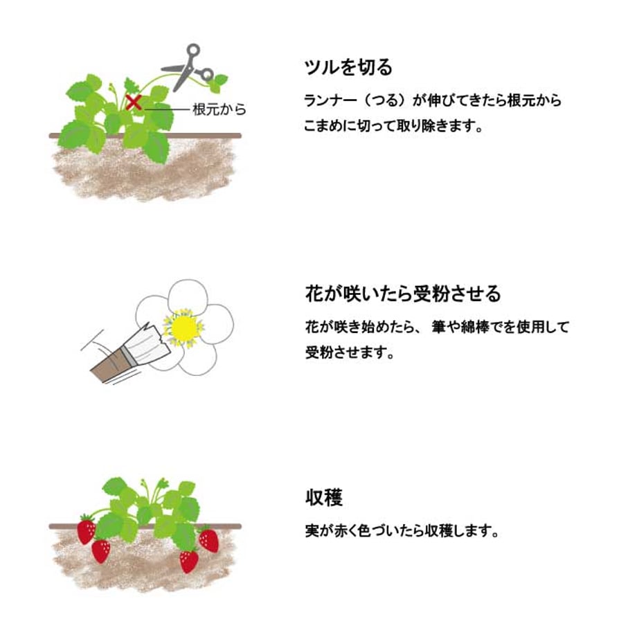 66eb77f9a7f9cb00363a9d3b