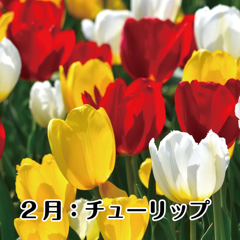 67bfd2461b359a01d90a2b0b