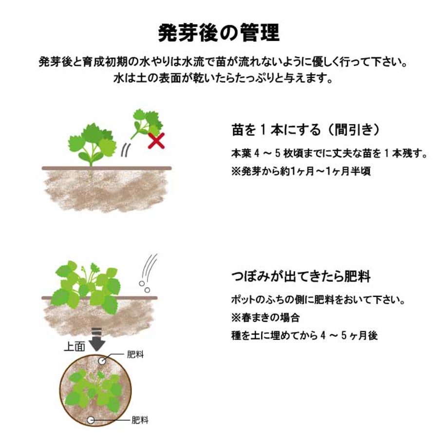 66eb77f9a7f9cb00363a9d3b