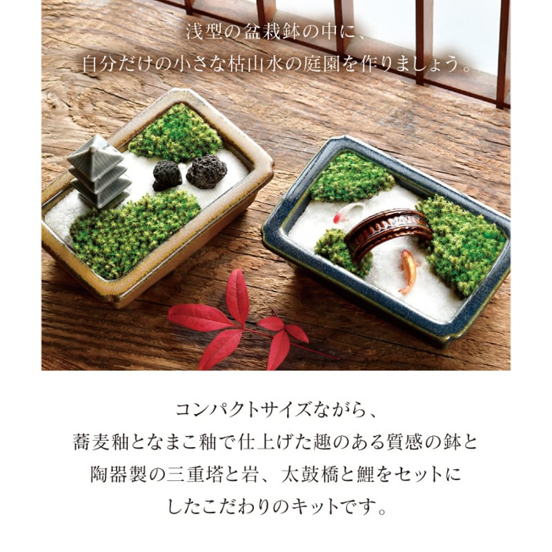 禅庭 zen garden kit 苔栽培キット スナゴケ 枯山水 キット 箱庭