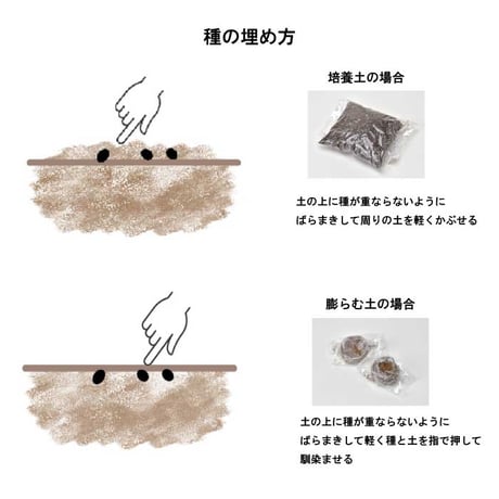 きっとみつかる 四つ葉のクローバー 栽培キット クローバー 栽培セット 開運 盆栽 栽培 観葉植物 鑑賞用植物 簡単 栽培 991598