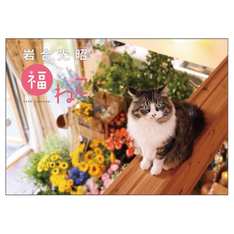 カレンダー  2026年 壁掛け 岩合光昭 福ねこカレンダー　【カレンダー 壁掛け  2026年版 猫 ネコ 動物 写真 岩合光昭 】
