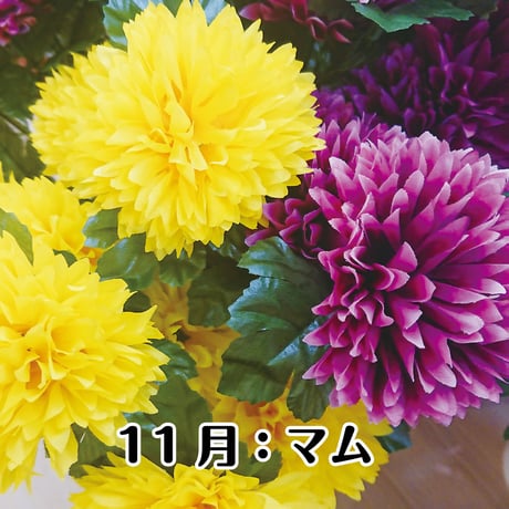 神宮館の開運フラワーギフト　玄関向け