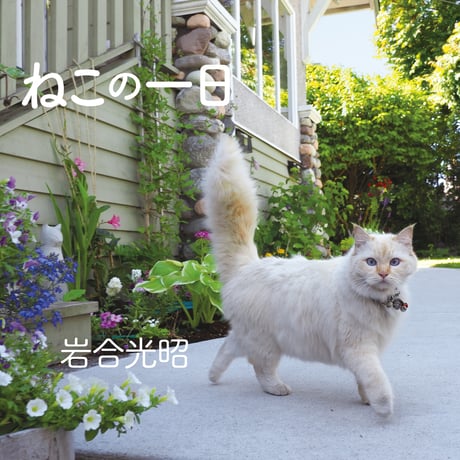［岩合光昭の写真絵本］ねこの一日