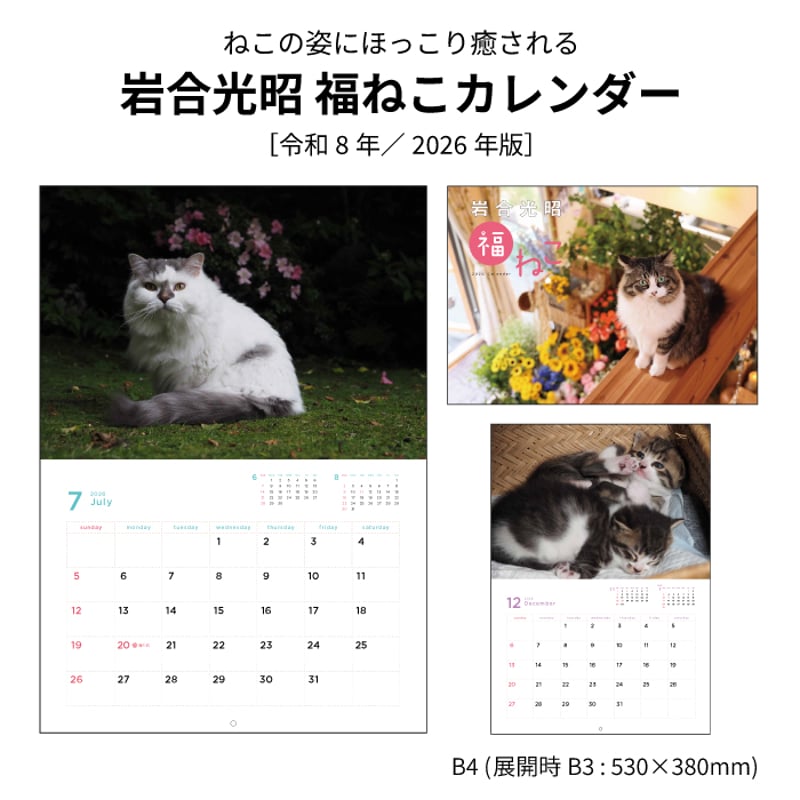 カレンダー 2026年 壁掛け 岩合光昭 福ねこカレンダー 【カレンダー