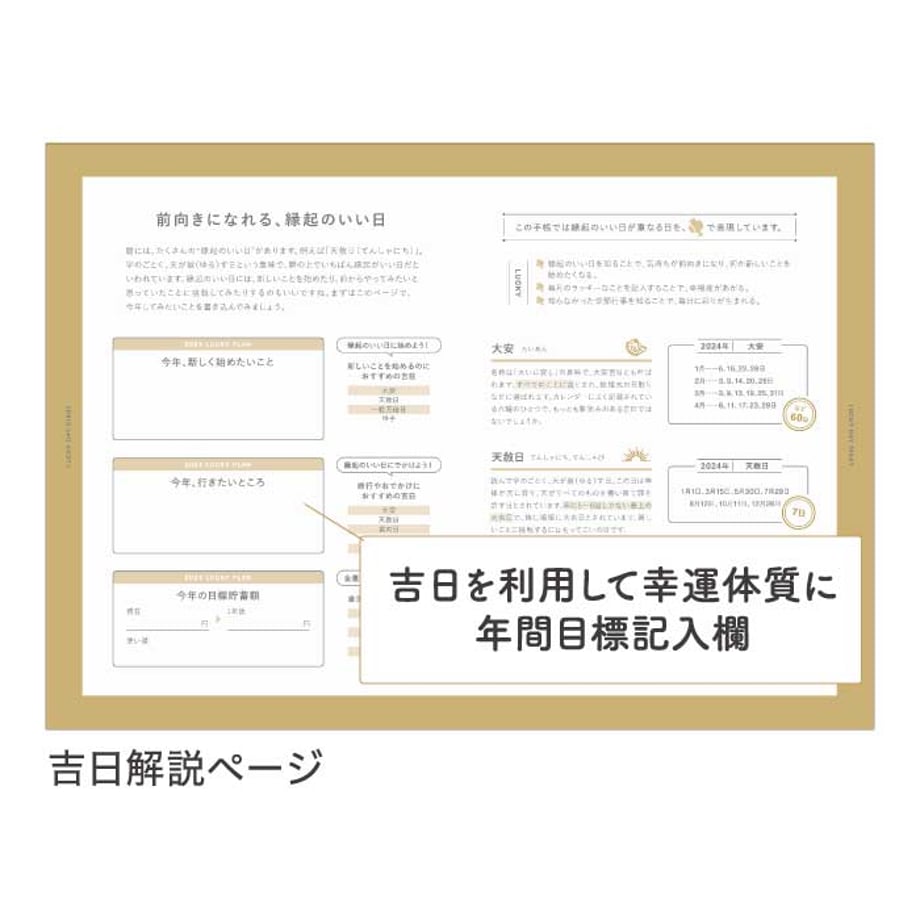 619dfc9d2438603468573d1a
