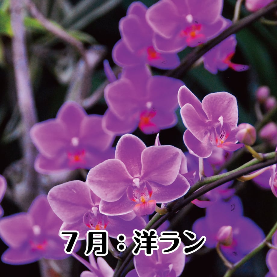 67bfd2461b359a01d90a2b0b