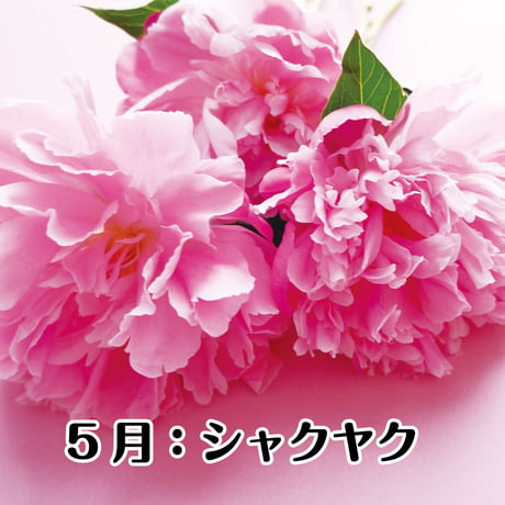 神宮館の開運フラワーギフト　玄関向け