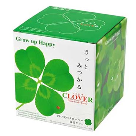 きっとみつかる 四つ葉のクローバー 栽培キット クローバー 栽培セット 開運 盆栽 栽培 観葉植物 鑑賞用植物 簡単 栽培 991598