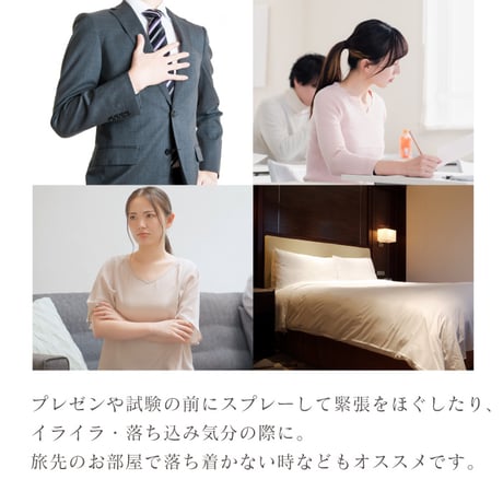 【送料無料】お浄め塩スプレー Shakti SALT 【ヒマラヤの太古の塩と天然石】
