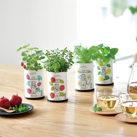 ハーブ 栽培キット Grow Flavor 育てるフレーバー 栽培 セット おしゃれ かわいい プレゼント ギフト 992566
