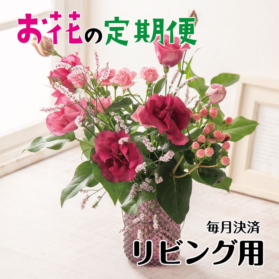 673552df23e19004ccb3cb72
