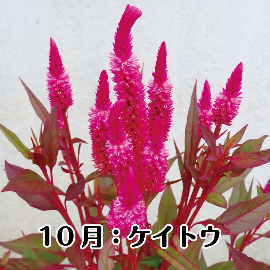 67bfd2461b359a01d90a2b0b