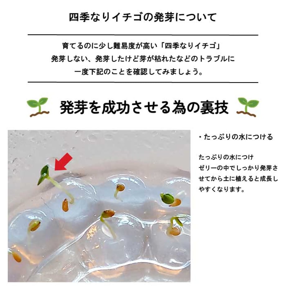 66eb77f9a7f9cb00363a9d3b
