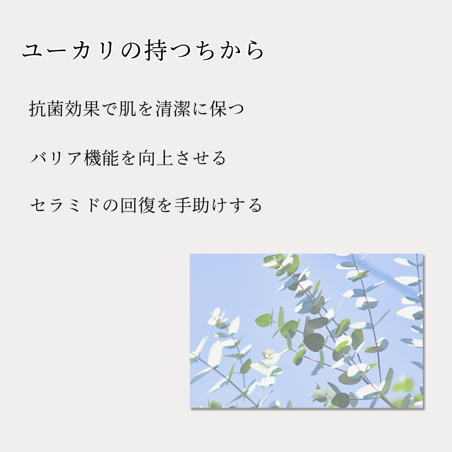 まい　APローション＋REハイブリッドパック まい APローション＋REハイブリッドパック APローション 200ml