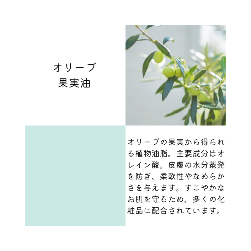 オールモイスチャライジングクリーム 40g | Segurora Cosmetics Onli