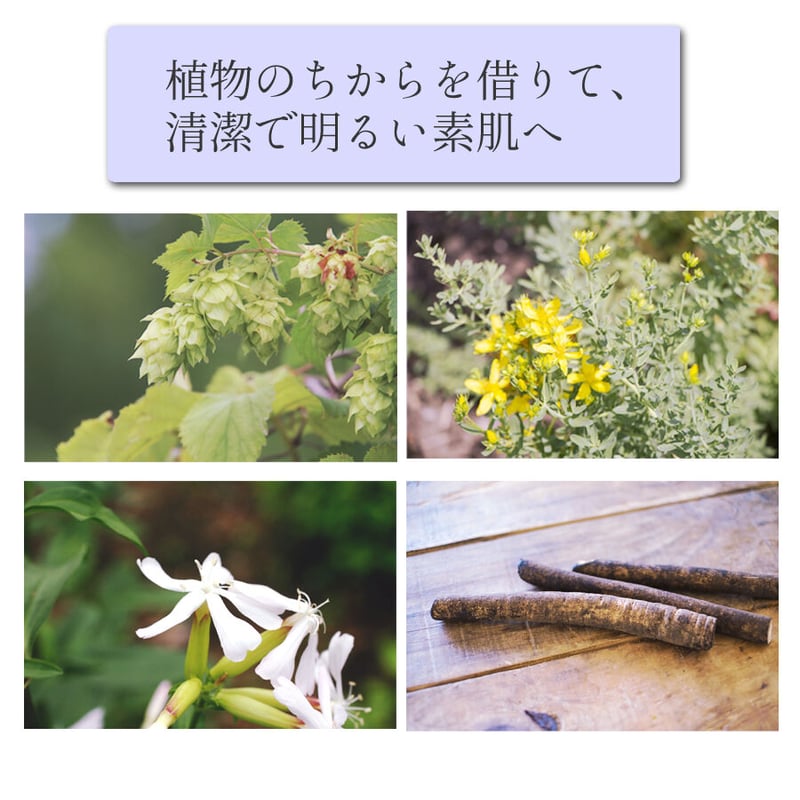 まい APローション＋REハイブリッドパック まい APローション＋RE