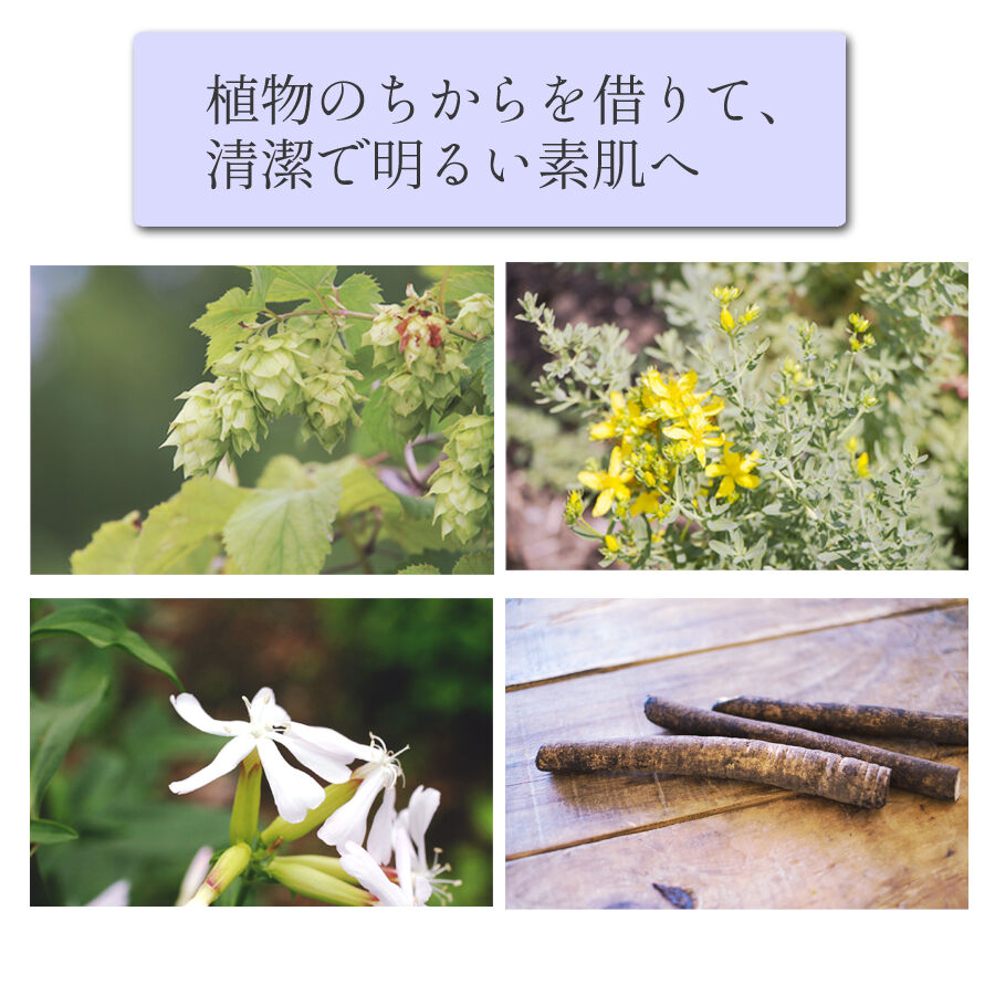 まい　APローション＋REハイブリッドパック エムディア APローション｜株式会社メイフラワー