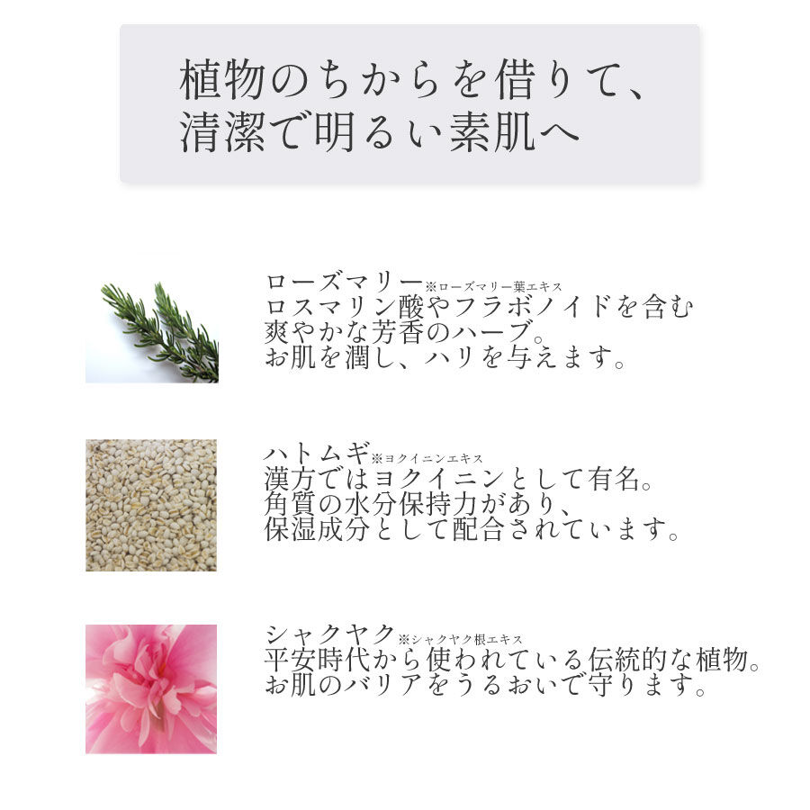 泡あわクレンジングフォーム 200ml (ボトル入り) | Segurora Cosmetic