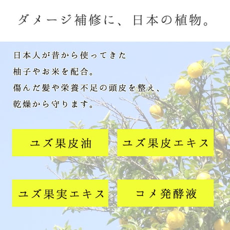 柚子とお米で感じるほのかな和　栃木の柚子　シャンプー&トリートメント  トライアルセット