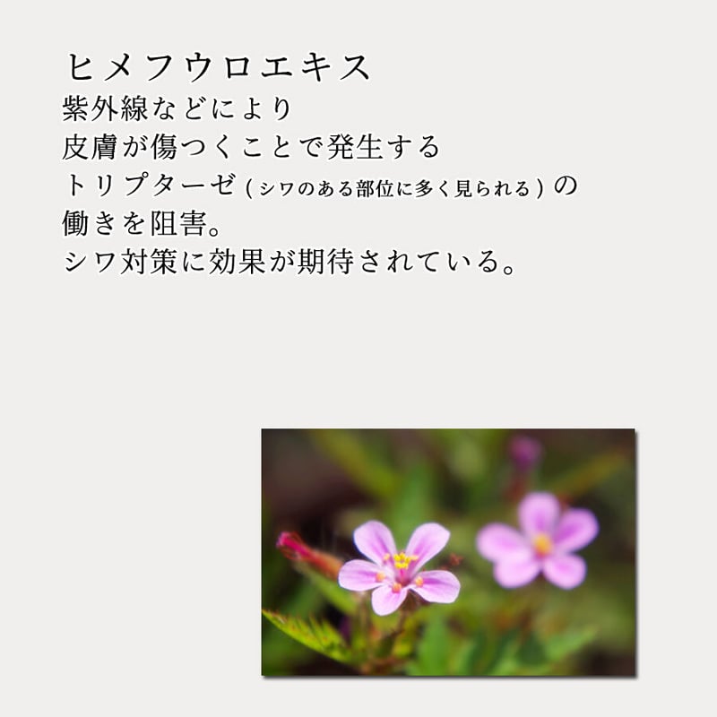 APローション 200ml | Segurora Cosmetics Online Shop