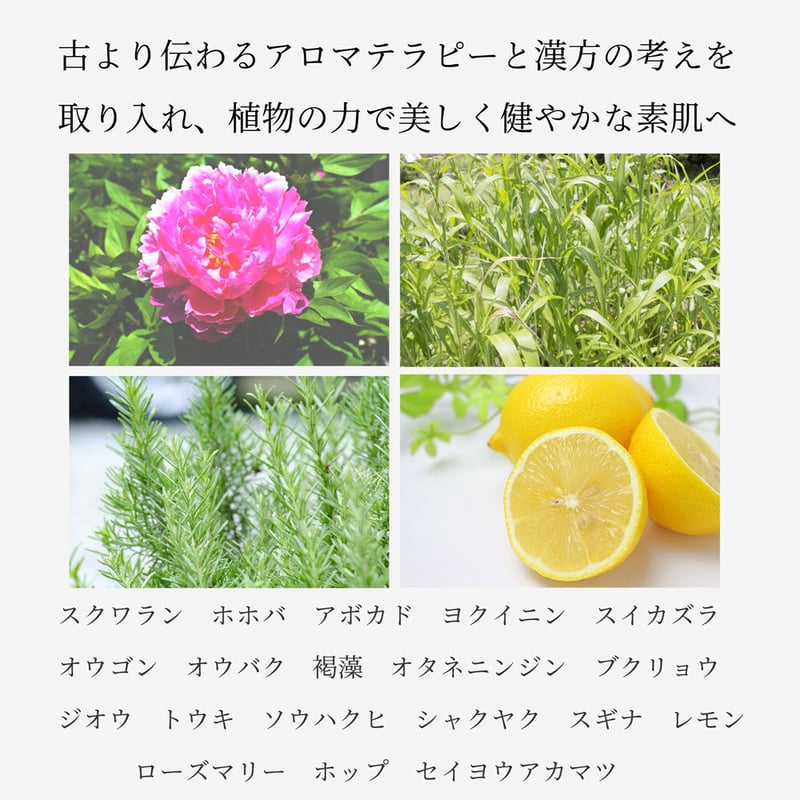 フェミニンヴィーナスジェル 100g | Segurora Cosmetics Online