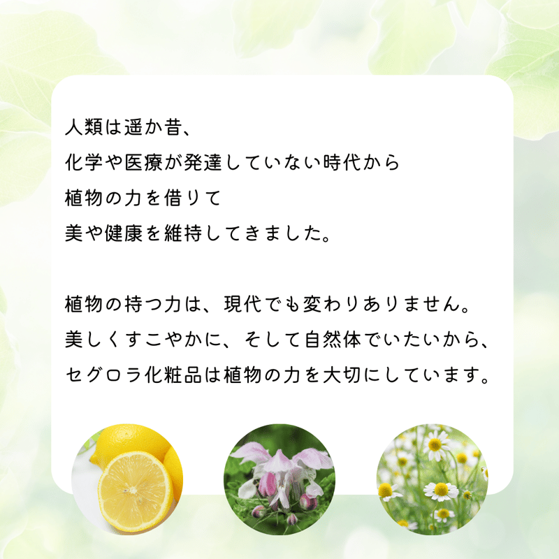 ネネファンデーション 3ml お試しサイズ ナチュラルメイク スキンケア