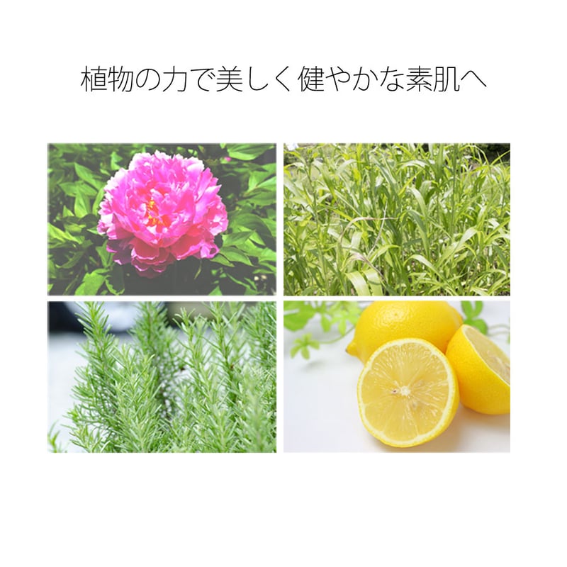 ブレンドジェルクリーム 500g | Segurora Cosmetics Online Shop