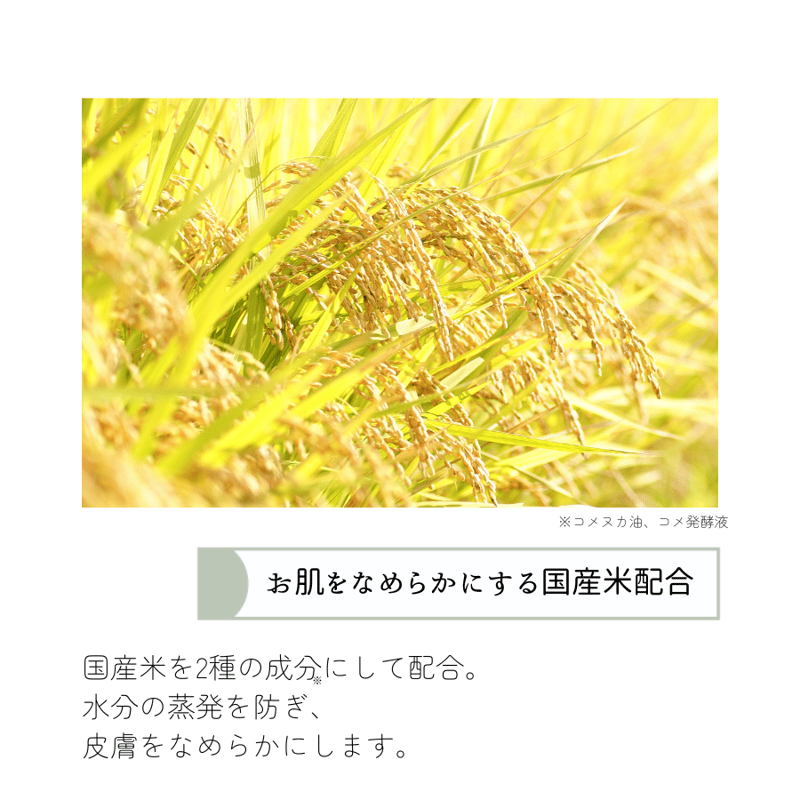 柚子とお米で感じるほのかな和 栃木の柚子バスソルト(30包) | Segurora