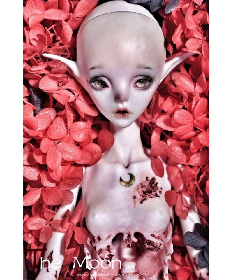 DOLLZONE】The Moon（フルセット） | Cadre d