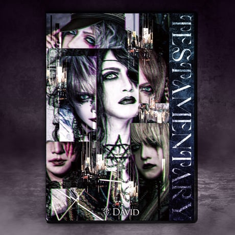 CATEGORY CD | Wizard Store