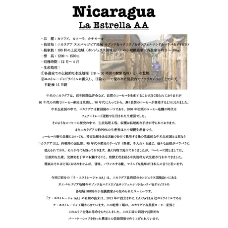 ニカラグア　エストレージャAA　中煎り　２５０ｇ