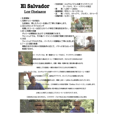 エルサルバドル　ロス・チェラソス　中深煎り　５００ｇ