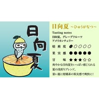 夏のぶれんど 【 日向夏 】浅煎り　２５０ｇ