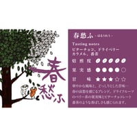 春のぶれんど【春愁ふ】深煎り　フルシティロースト　２５０ｇ