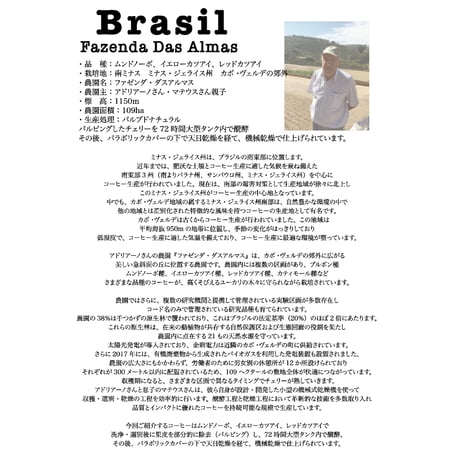 ブラジル　中煎り  ミディアムロースト　２５０ｇ